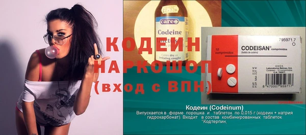 ГАЛЛЮЦИНОГЕННЫЕ ГРИБЫ Арсеньев