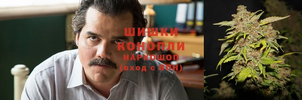ГАЛЛЮЦИНОГЕННЫЕ ГРИБЫ Арсеньев