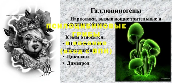 ГАЛЛЮЦИНОГЕННЫЕ ГРИБЫ Арсеньев