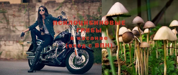 молекула духа Армянск